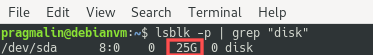 Terminal screenshot that shows the output of the lsblk command to list the disks known to the virtual machine. It is used to verify that the disk size increase was successful.