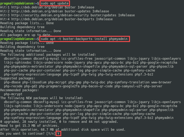 Terminal screenshot that shows how to use apt to install package phpmyadmin from the Debian 10 backports repository.