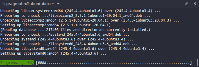 Terminal screenshot that shows the "sudo apt upgrade" command in action. Including the nice progress bar at the bottom, which sets apt apart from apt-get.