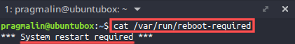 Screenshot of the command output from "cat /var/run/reboot-required". It shows the situation where a reboot is actually required.