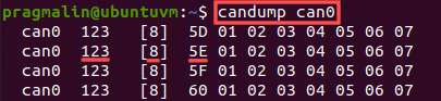 Screenshot of running the candump program for viewing CAN messages on the CAN bus in real-time.