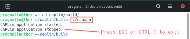 Terminal screenshot that explains how to run a CAPLin node application.