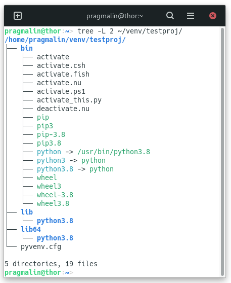 Terminal screenshot that shows the output of the tree command that lists the contents of a newly created Python virtual environment.