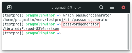 Screenshot that shows you how to run and Python application that was directly installed into the virtual environment.