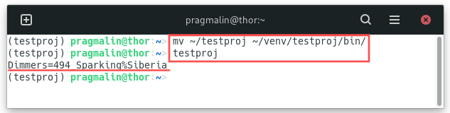 Screenshot that shows you how to move your own Python application to the virtual environment's bin directory and then run it from there.