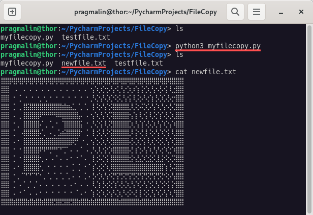 Terminal screenshot that shows that the example Python script, for both reading and writing a text file line by line, works.